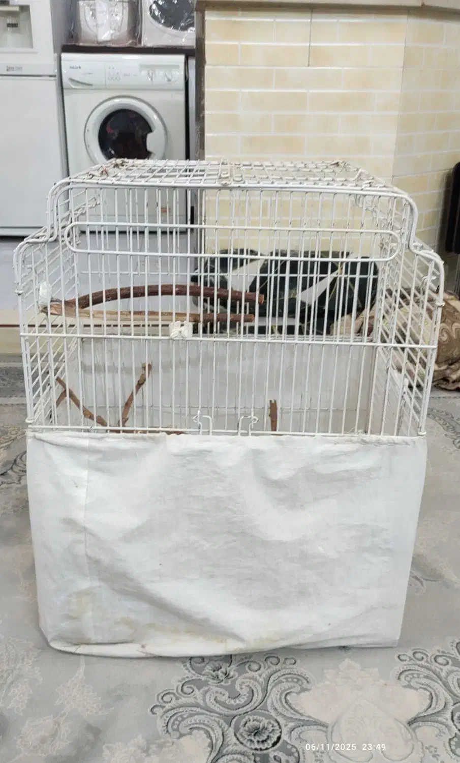 قفس کاسکو فروشی|لوازم جانبی حیوانات|پاکدشت, پاکدشت (مامازند)|دیوار