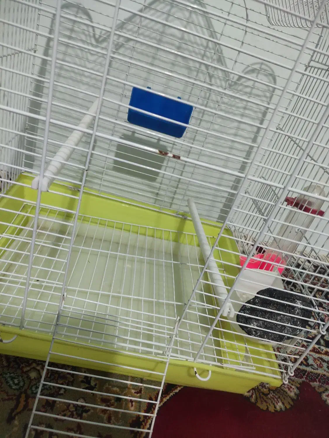 قفسه|لوازم جانبی حیوانات|خرم‌آباد, |دیوار