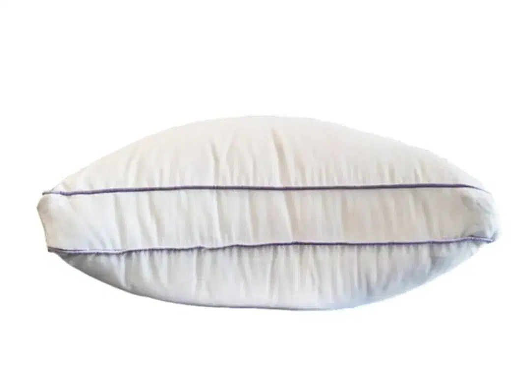 بالشت طبی آلمانی|رختخواب، بالش، پتو|رشت, گلزاران|دیوار