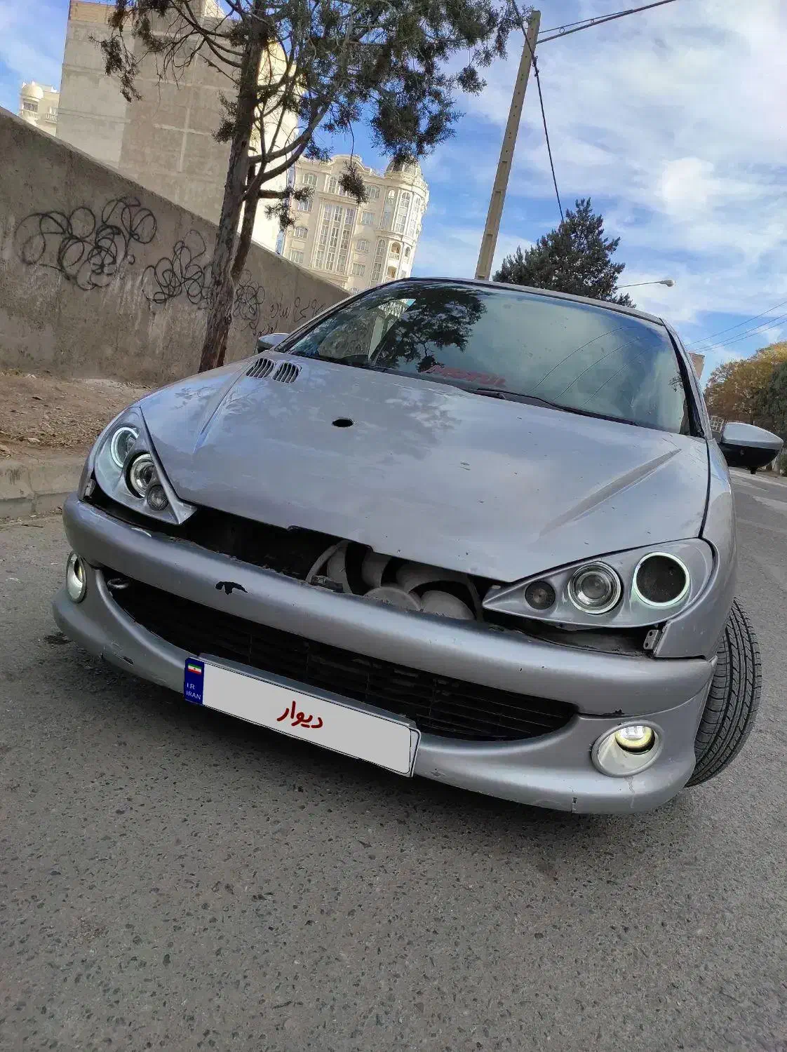 206nfu|خودرو سواری و وانت|نیشابور, دارایی|دیوار