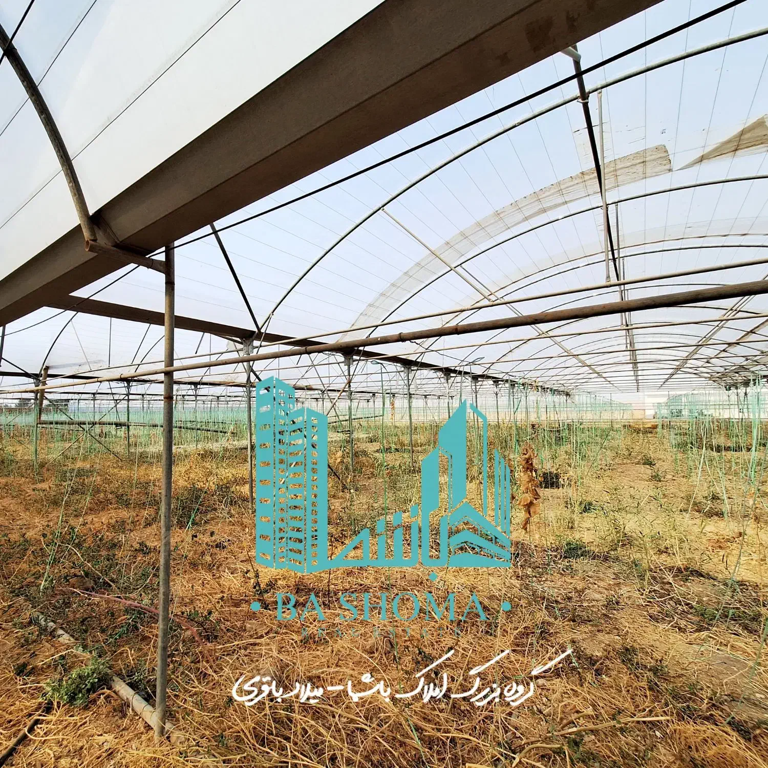 ۹ هزار متر گلخانه/سند تک برگ/ فرصت خوب|فروش دفتر صنعتی، کشاورزی، تجاری|قرچک, پارس سرام|دیوار