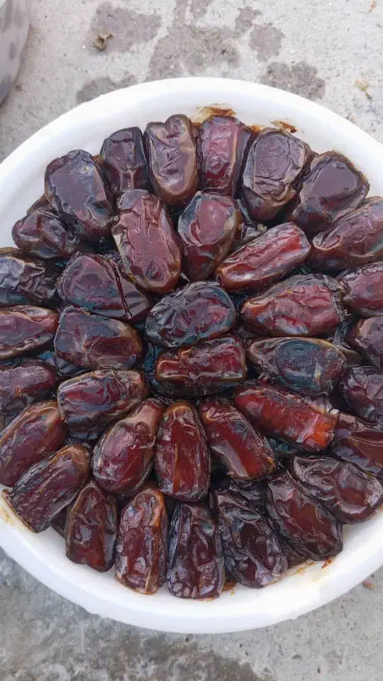 خرما صادراتی کبکاب بهبهان استان خوزستان|خوردنی و آشامیدنی|شیراز, باغ تخت|دیوار