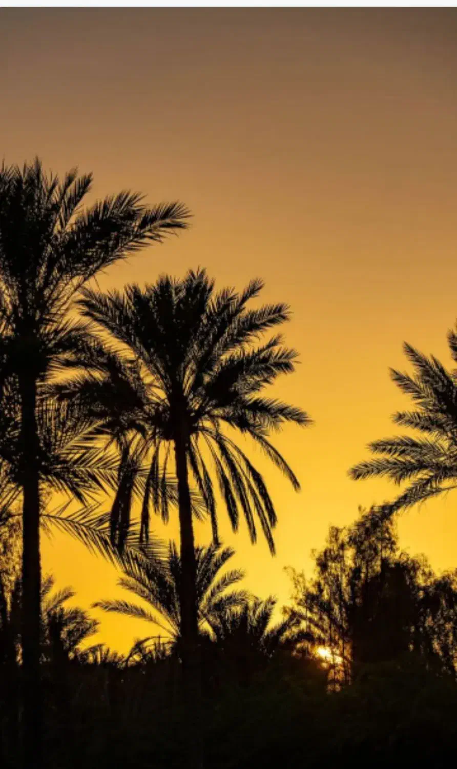 فروش ملک و زمین در طبل و سلخ|فروش زمین و ملک کلنگی|قشم, |دیوار