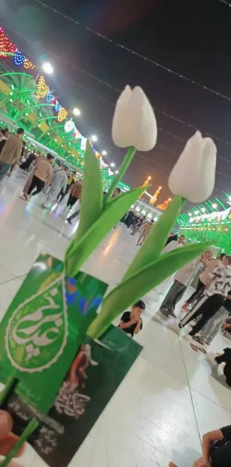 کاروان کربلا|تور و چارتر|مرودشت, ژیان|دیوار