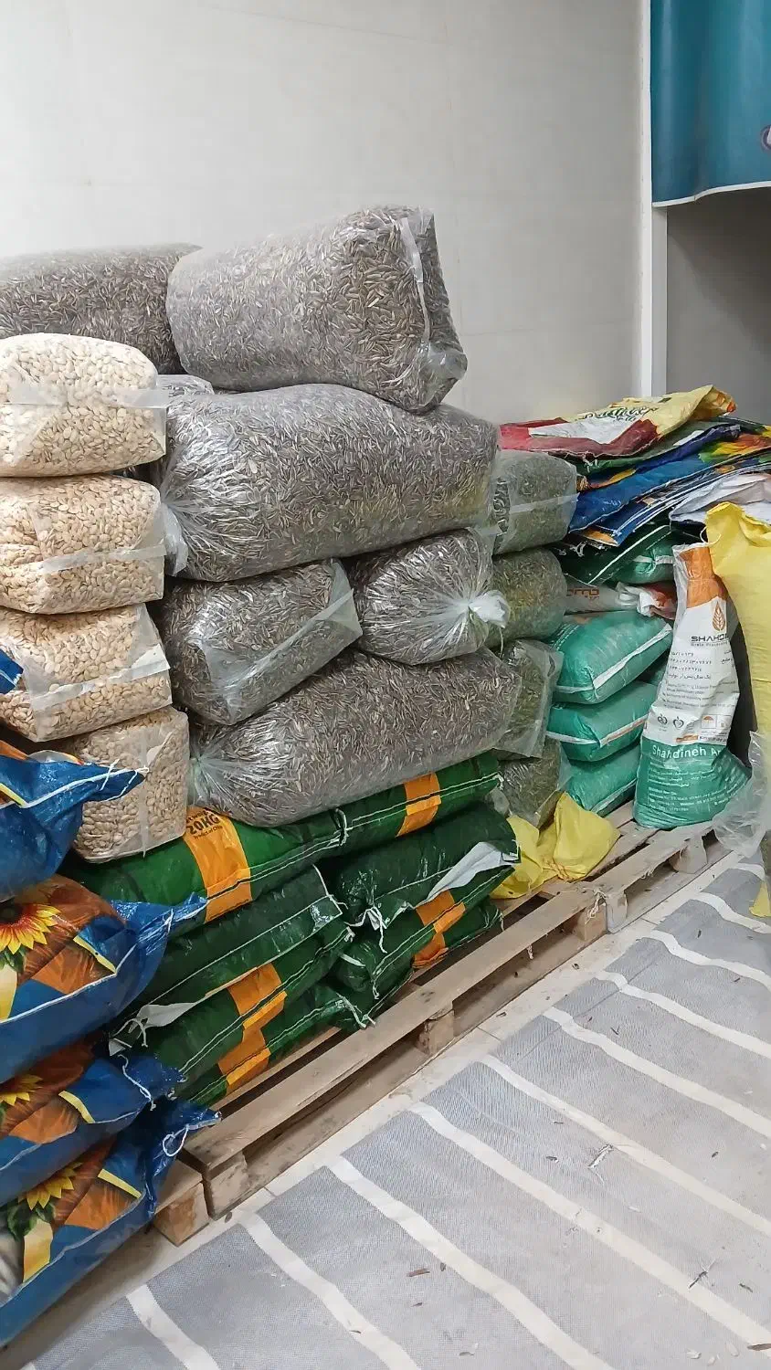 پخش تخمه  چینی وخوی|عمدهفروشی|قیدار, |دیوار