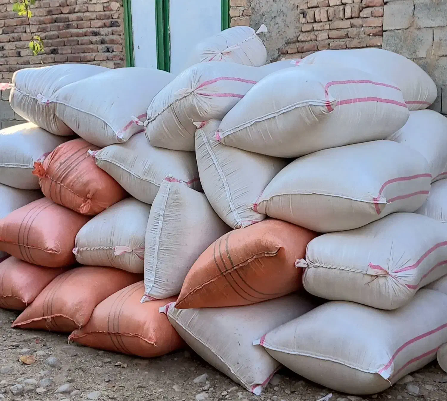 کاه گندم دیم سفیدونرم شلیت گرفته|لوازم جانبی حیوانات|زاغه, |دیوار