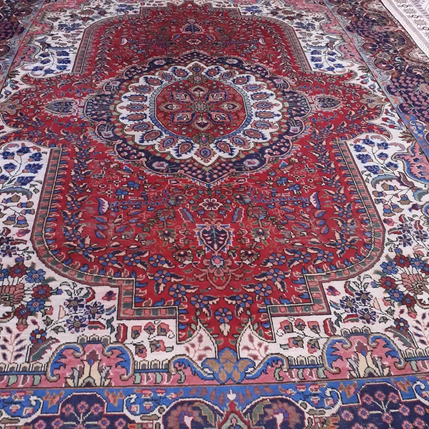 ...|فرش|مرند, |دیوار