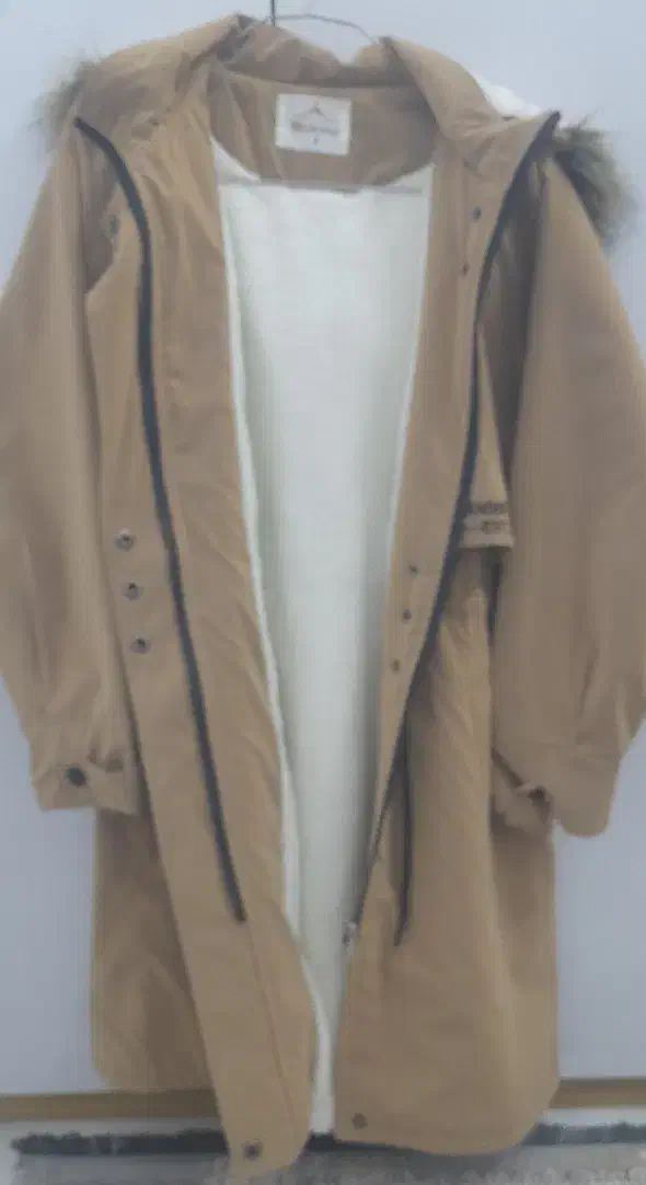 پالتو|لباس|مشهد, طبرسی شمالی|دیوار