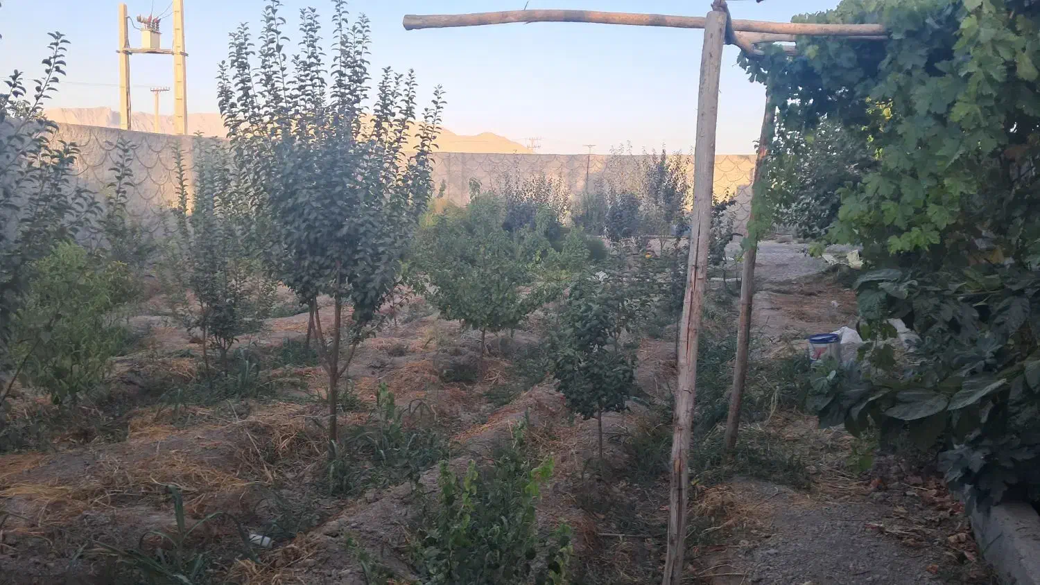 باغ ویلا نقلی خانوادگی|فروش خانه و ویلا|فلاورجان, |دیوار