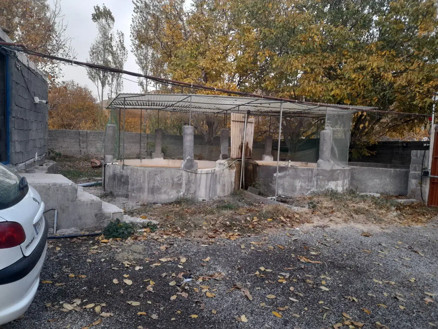 باغ، دارای مزرعه پروروش ماهی|فروش دفتر صنعتی، کشاورزی، تجاری|مراغه, |دیوار