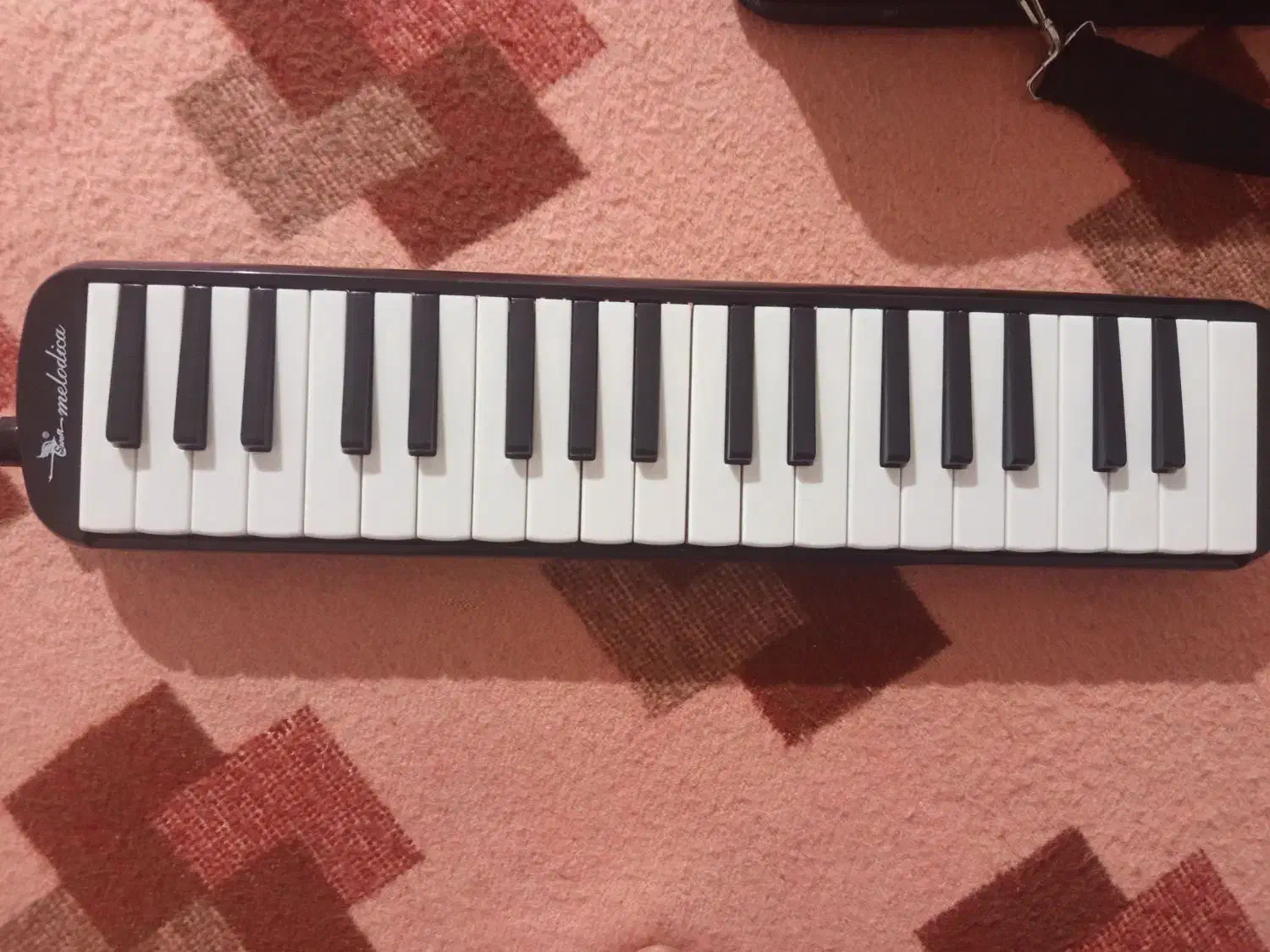 ساز ملودیکا سوان37کلید|پیانو، کیبورد، آکاردئون|سرچهان, |دیوار