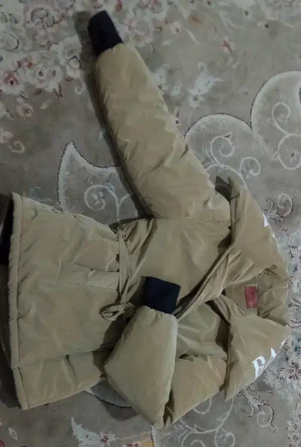 کاپشن|لباس|شاندیز, |دیوار