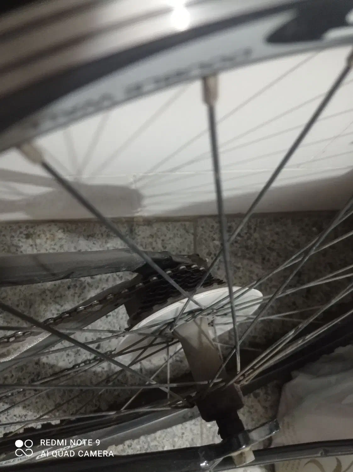 دوچرخه|دوچرخه، اسکیت، اسکوتر|هشتگرد, شهرک وحدت|دیوار