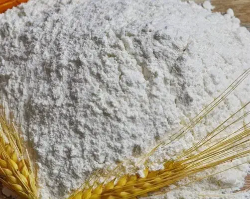 اردگندم تاریخ جدید|خوردنی و آشامیدنی|مشهد, انقلاب|دیوار