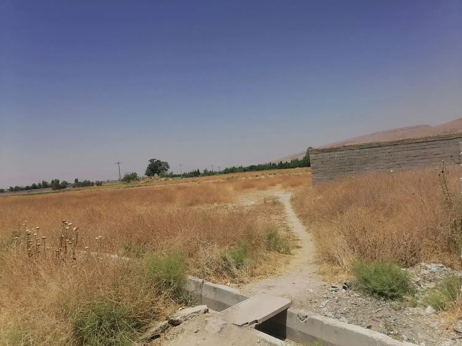 فروش زمین|فروش زمین و ملک کلنگی|شیراز, کفترک|دیوار