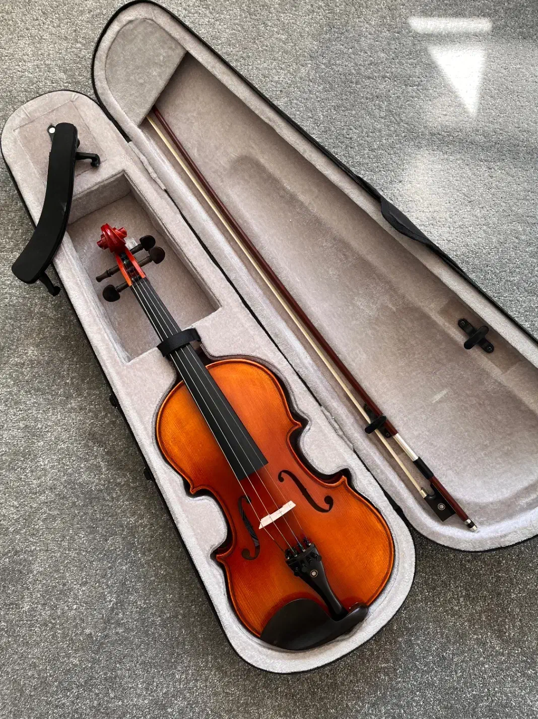 ویولن|ویولن|رامیان, |دیوار