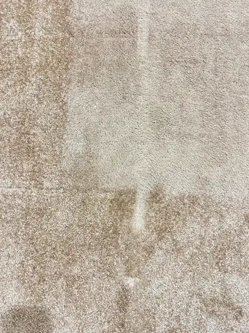 موکت پالاز ۱۲ متری|موکت|قم, پردیسان|دیوار