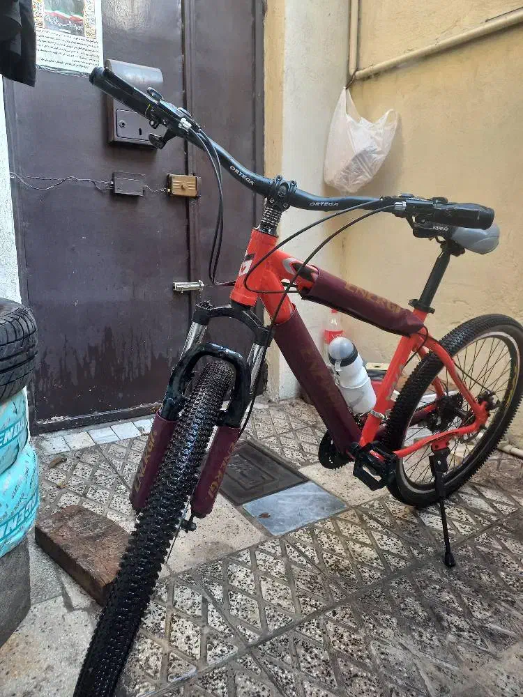 دوچرخه حرفه ای ویوا|دوچرخه، اسکیت، اسکوتر|ری, علایین|دیوار