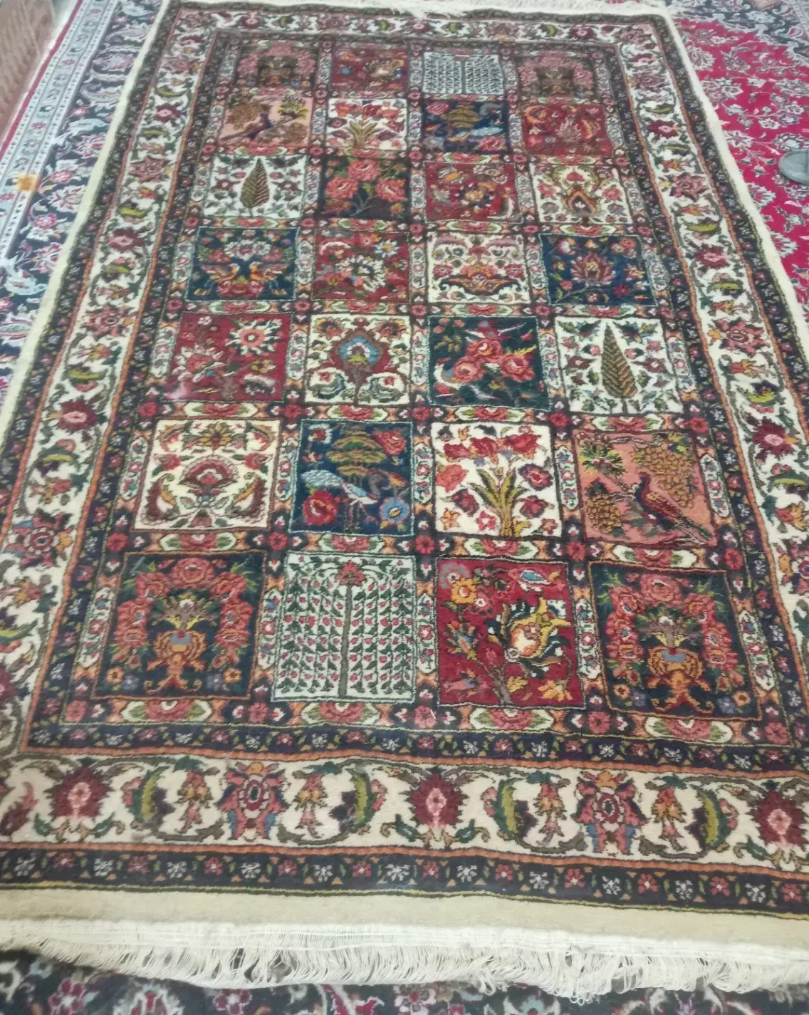 یک قالی  تمیز|فرش|شهرکرد, |دیوار