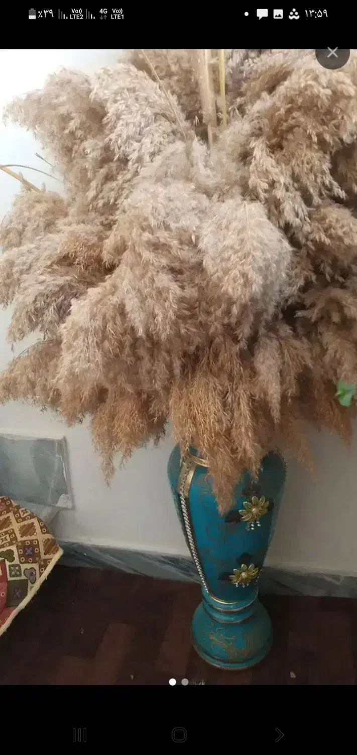 گلدان بزرگ|گل و گیاه طبیعی|کرج, خرمدشت|دیوار