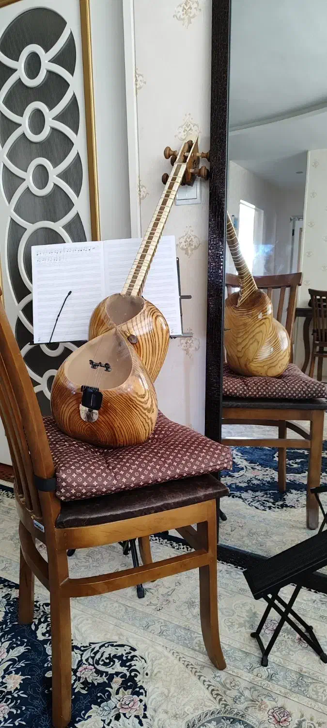 تار خوش نواز با قیمت استثنایی|سازهای سنتی|تبریز, |دیوار