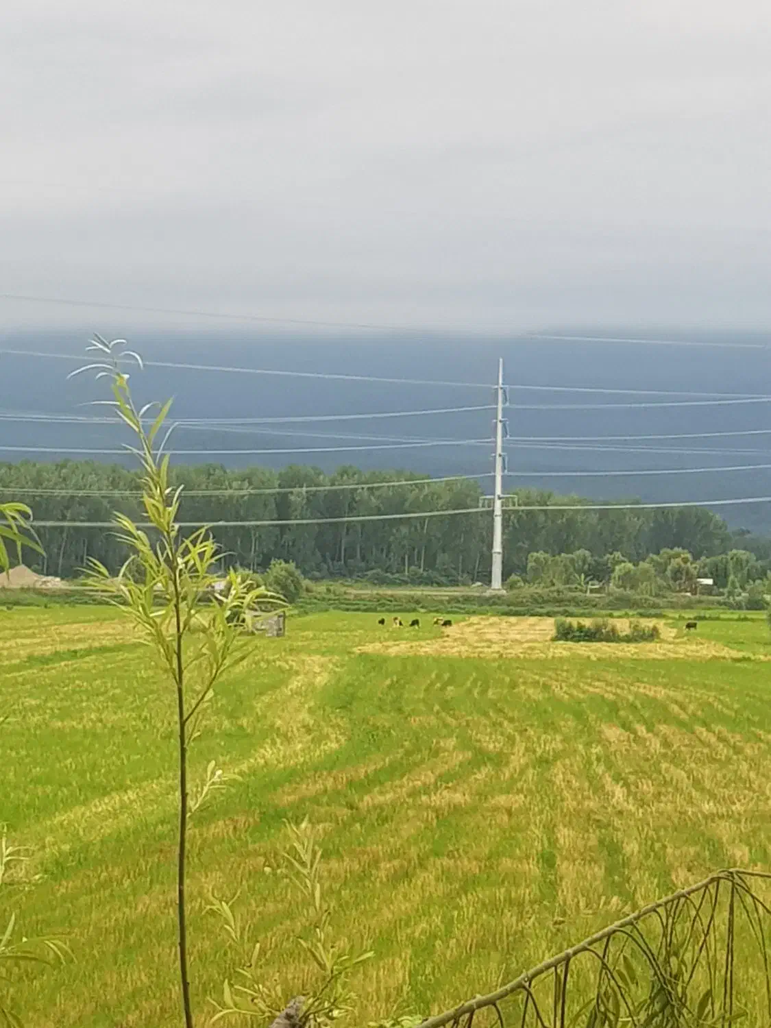 ۱۳۵متر تکواحدی مدرن ویو ابدی بینظیرشالیزار و جنگل|فروش آپارتمان|رویان, |دیوار