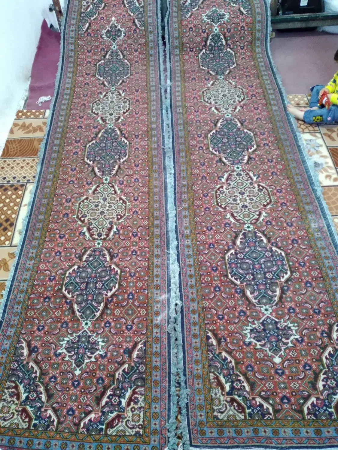 فرش دست بافت ریز ماهی خرک|فرش|اردبیل, |دیوار