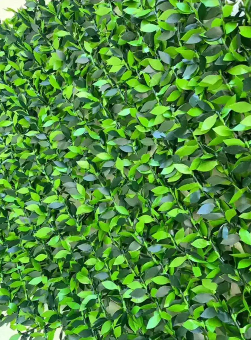 فنس برگی و خز ، پادری اسفنچی|مصالح و تجهیزات ساختمان|یزد, |دیوار