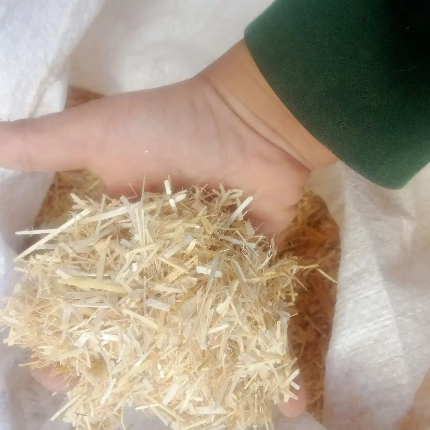 کاه گندم|لوازم جانبی حیوانات|نیشابور, مازول|دیوار