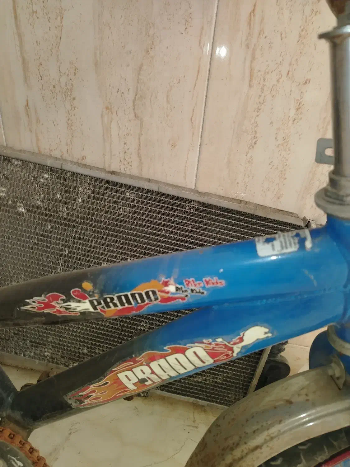 دوچرخه|دوچرخه، اسکیت، اسکوتر|نیشابور, گمنام غربی|دیوار