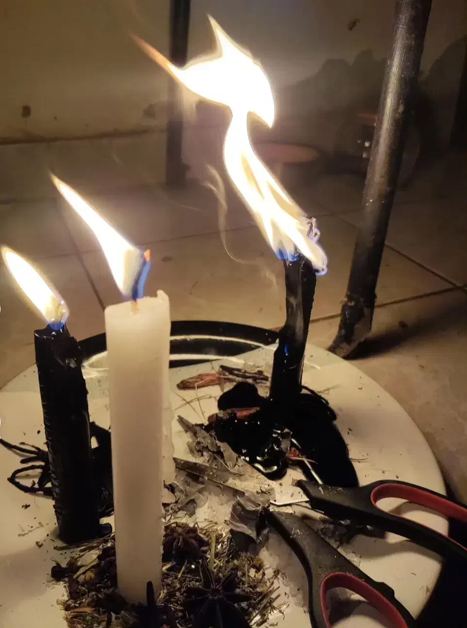 انواع فالها|خدمات پذیرایی، مراسم|تهران, تجریش|دیوار