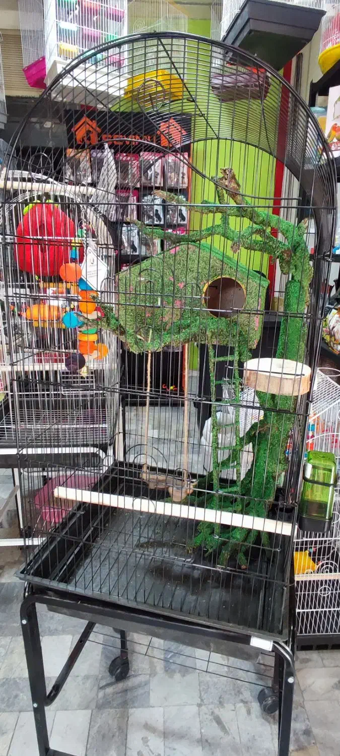 قفس کارشده جنگلی بهشت قفس ملنگو طوطی عروس|لوازم جانبی حیوانات|گلستان (تهران), |دیوار
