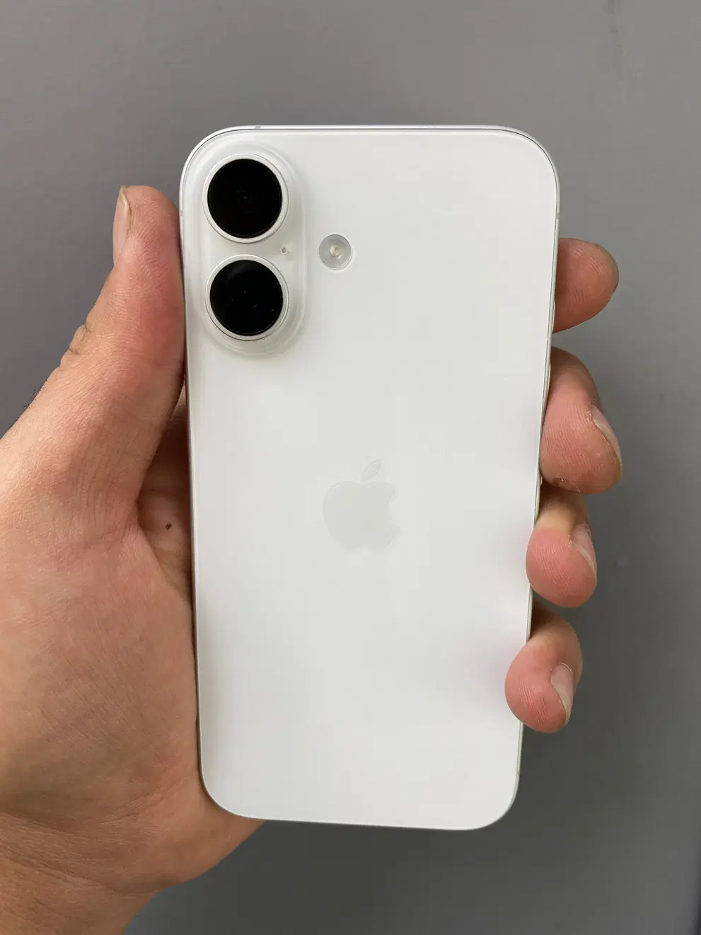 Iphone 16 نرمال|موبایل|تهران, مروارید شهر|دیوار