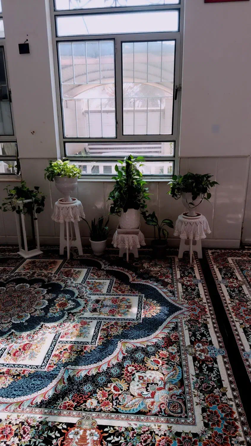 گل گیاه طبیعی|گل و گیاه طبیعی|اردکان, |دیوار