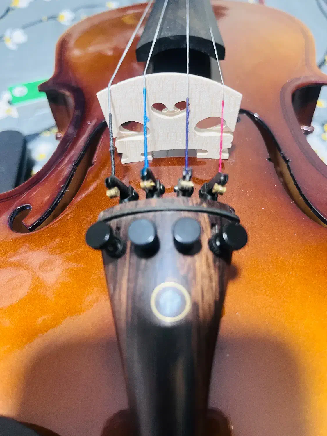 ویولن موسیقی|ویولن|فولادشهر, A1|دیوار