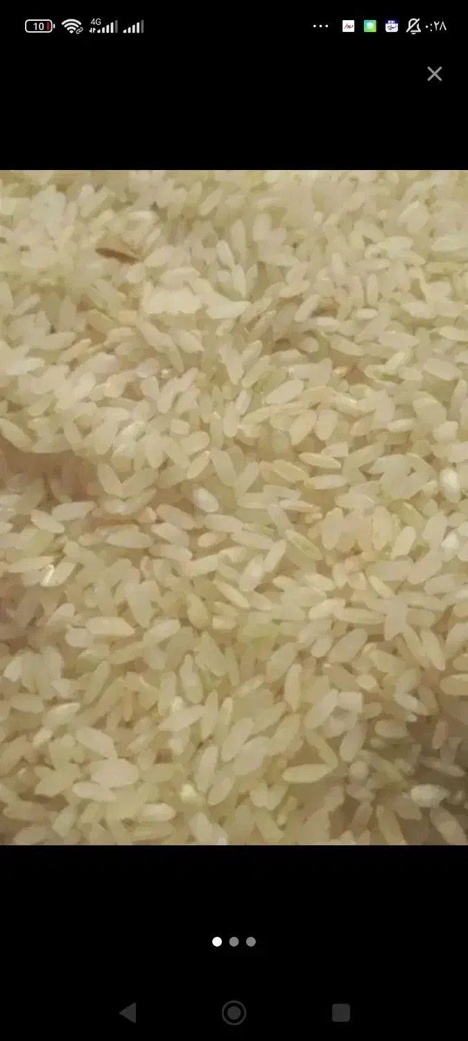 برنج|خوردنی و آشامیدنی|ساوه, |دیوار