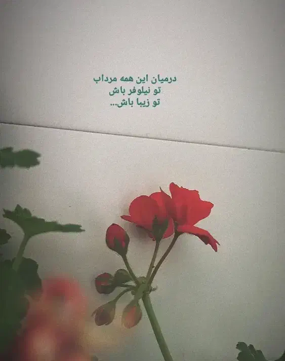 هدیه دادن|فعالیت داوطلبانه|تهران, نازی‌آباد|دیوار