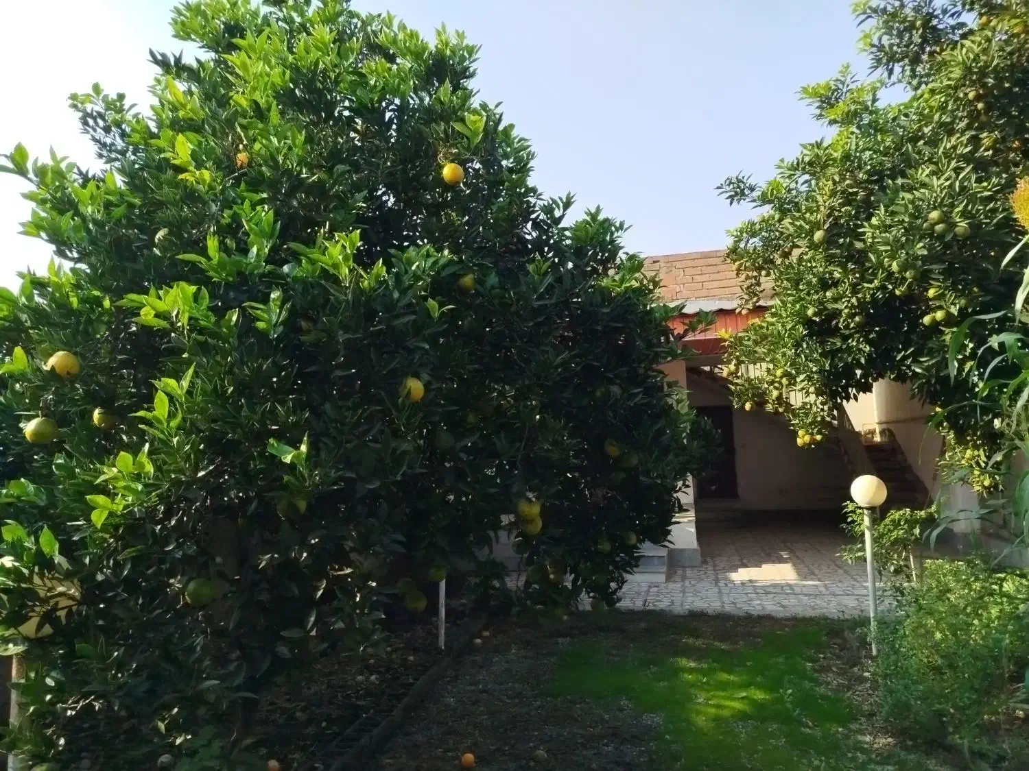 خانه ویلایی در جاده آمل به فریدونکنار|فروش خانه و ویلا|دابودشت, |دیوار