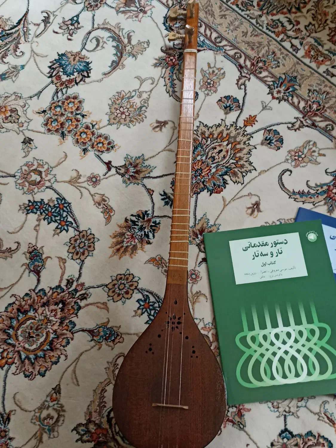 سه تار|سازهای سنتی|شیراز, فرهنگ شهر|دیوار