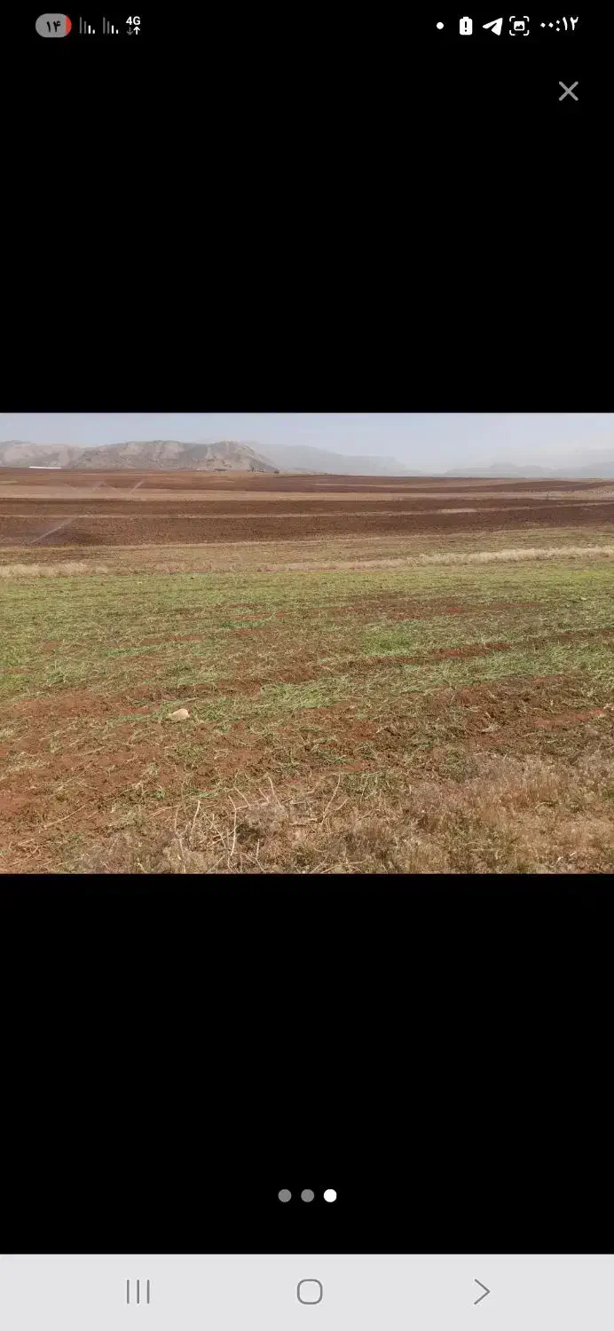 اجاره زمین کشاورزی بارانی کوهرنگ|فروش دفتر صنعتی، کشاورزی، تجاری|کوهرنگ, |دیوار