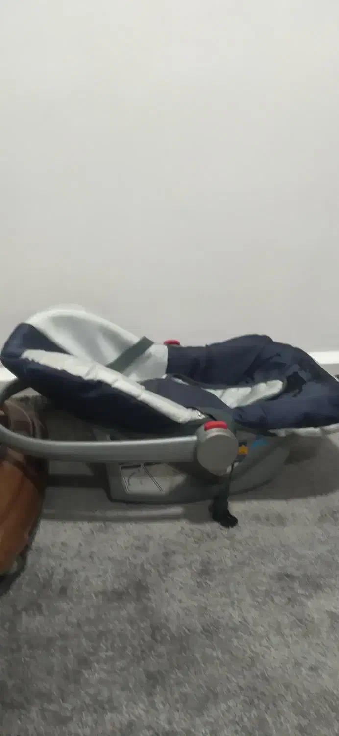 روروک وکریر نوتمیز|کالسکه و لوازم جانبی|دزفول, |دیوار