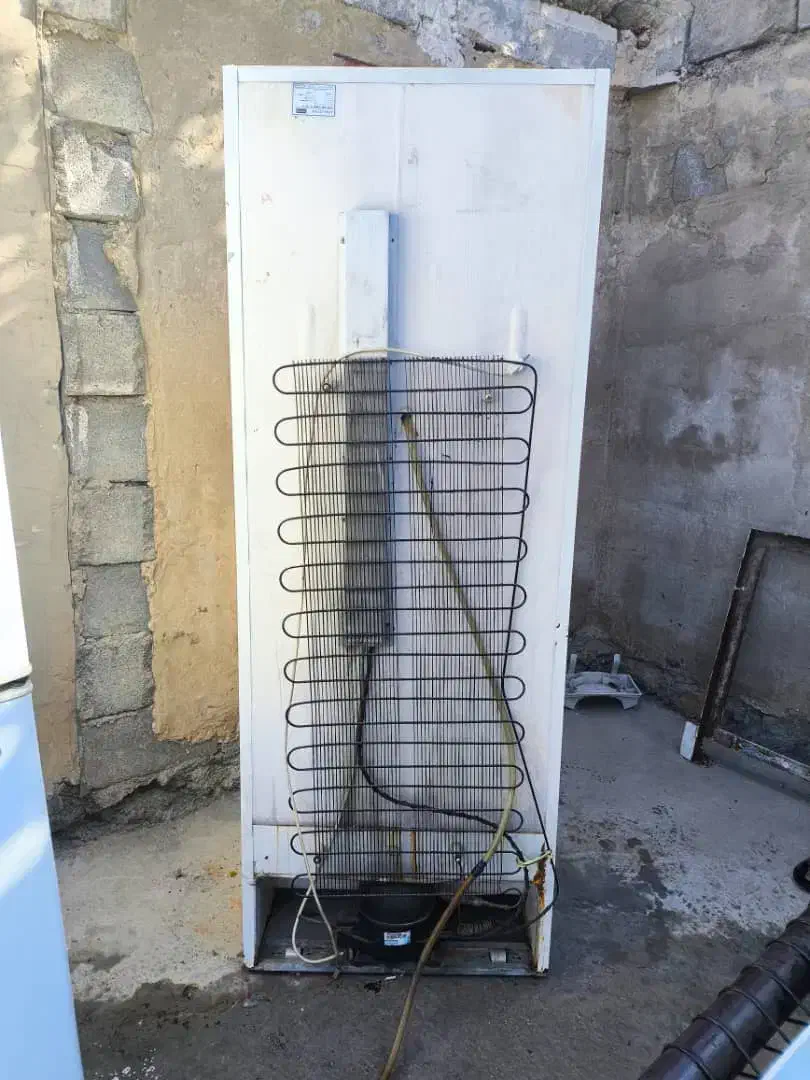 یخچال فریزر|یخچال و فریزر|باغ ملک, |دیوار