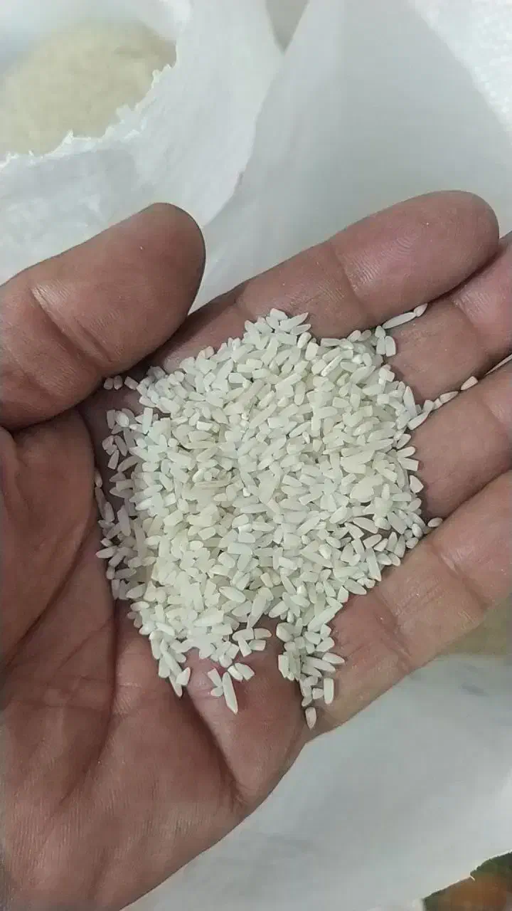 برنج سرلاشه هاشمی|خوردنی و آشامیدنی|الوند, |دیوار