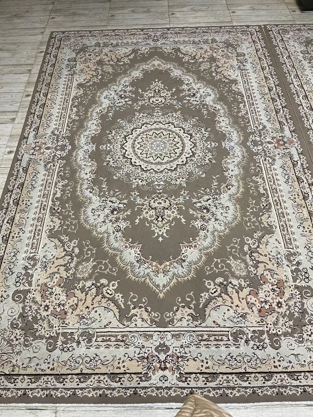 فرش۶ متری|فرش|رشت, کوی غلام نیا|دیوار