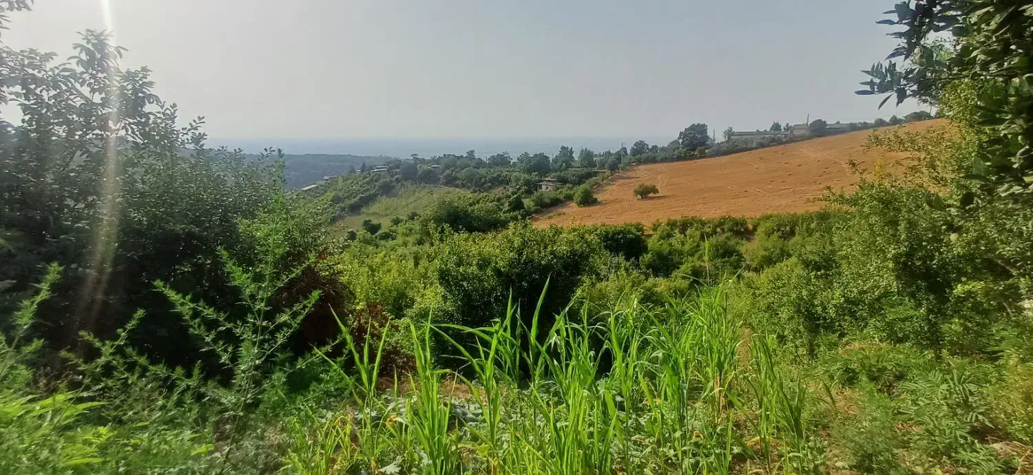 فروش زمین کوه|فروش زمین و ملک کلنگی|رستمکلا, |دیوار