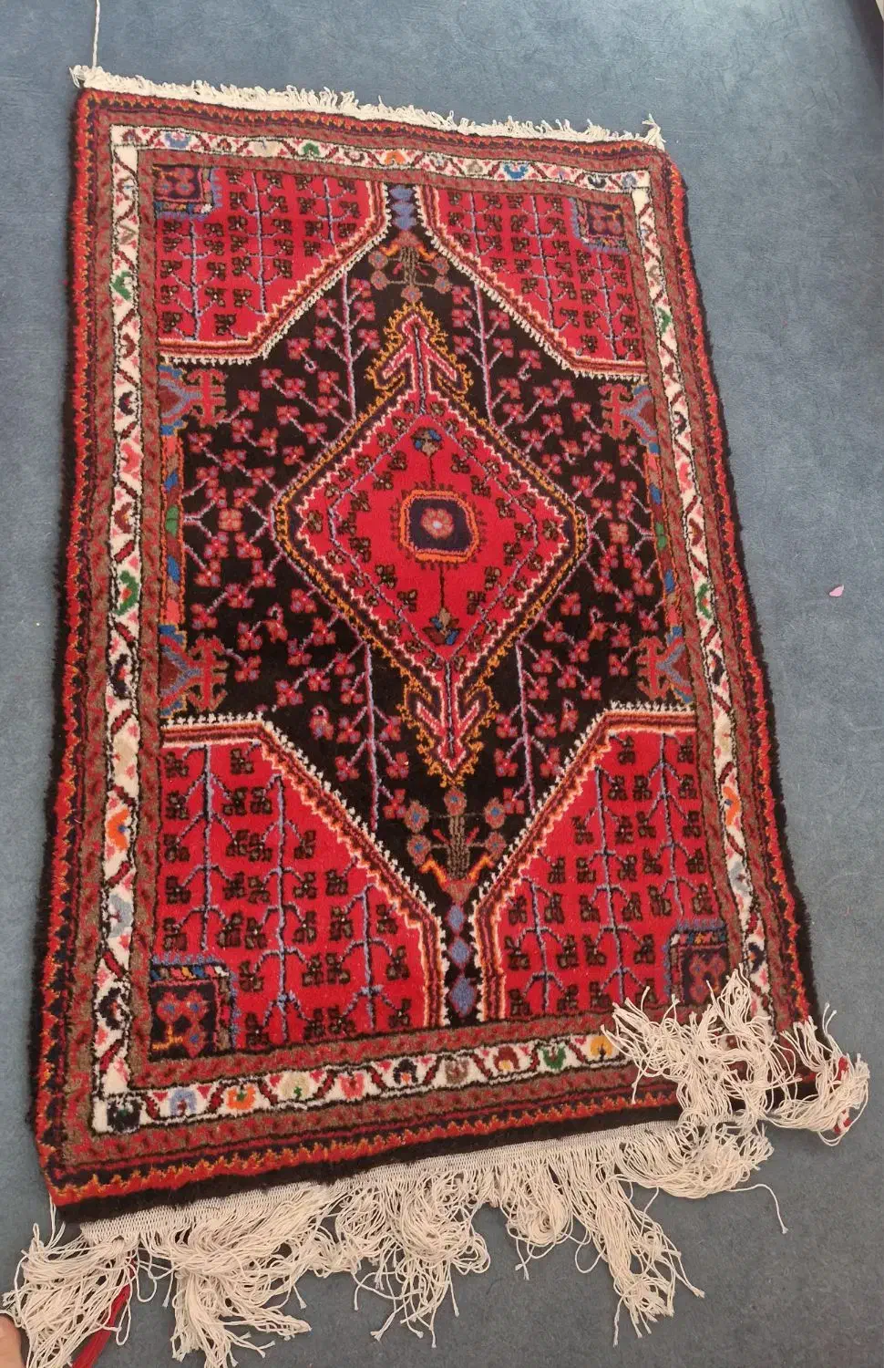 فرش دستباف محلی|فرش|تویسرکان, |دیوار