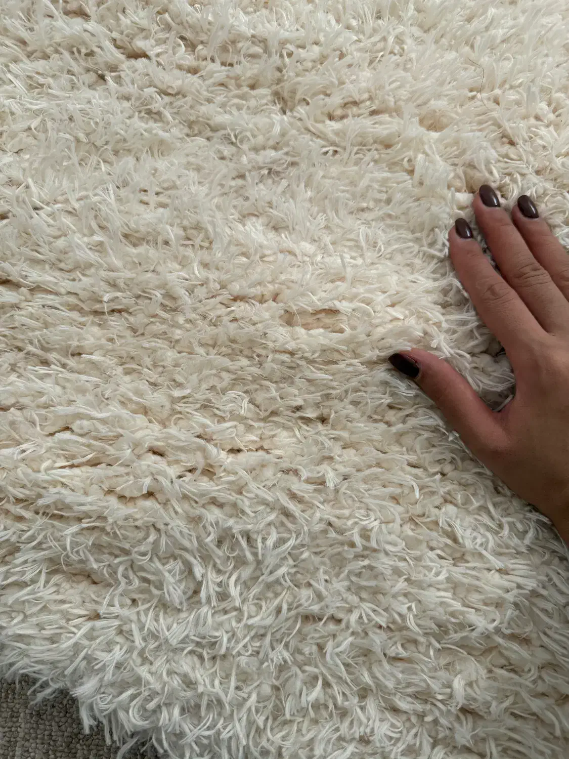قالیچه  تدی در حد نو|فرش|رشت, دروازه لاکان|دیوار