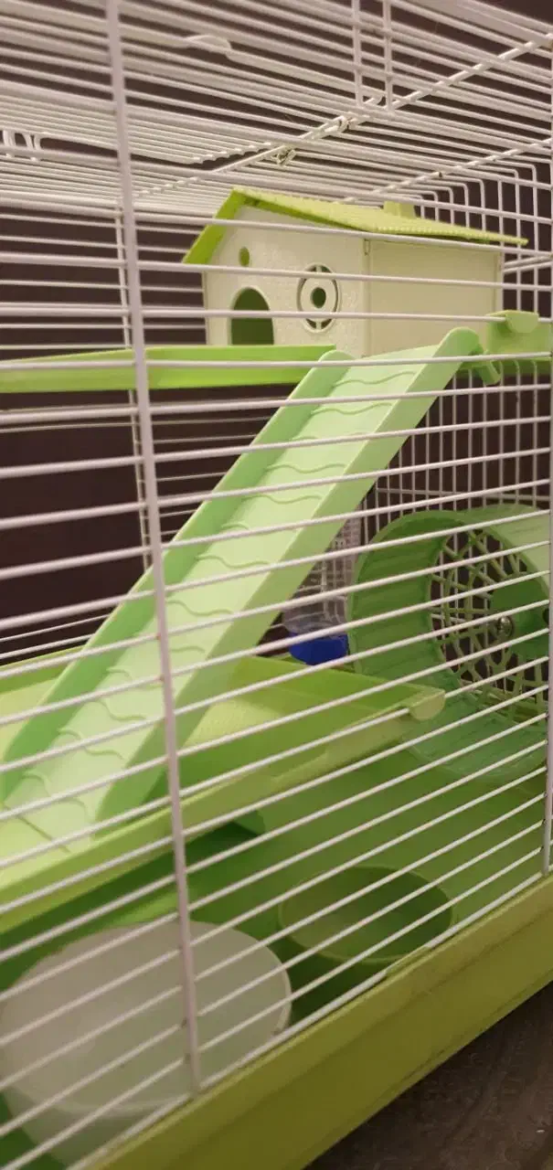 قفس همستر و پرنده|لوازم جانبی حیوانات|تهران, گیشا|دیوار