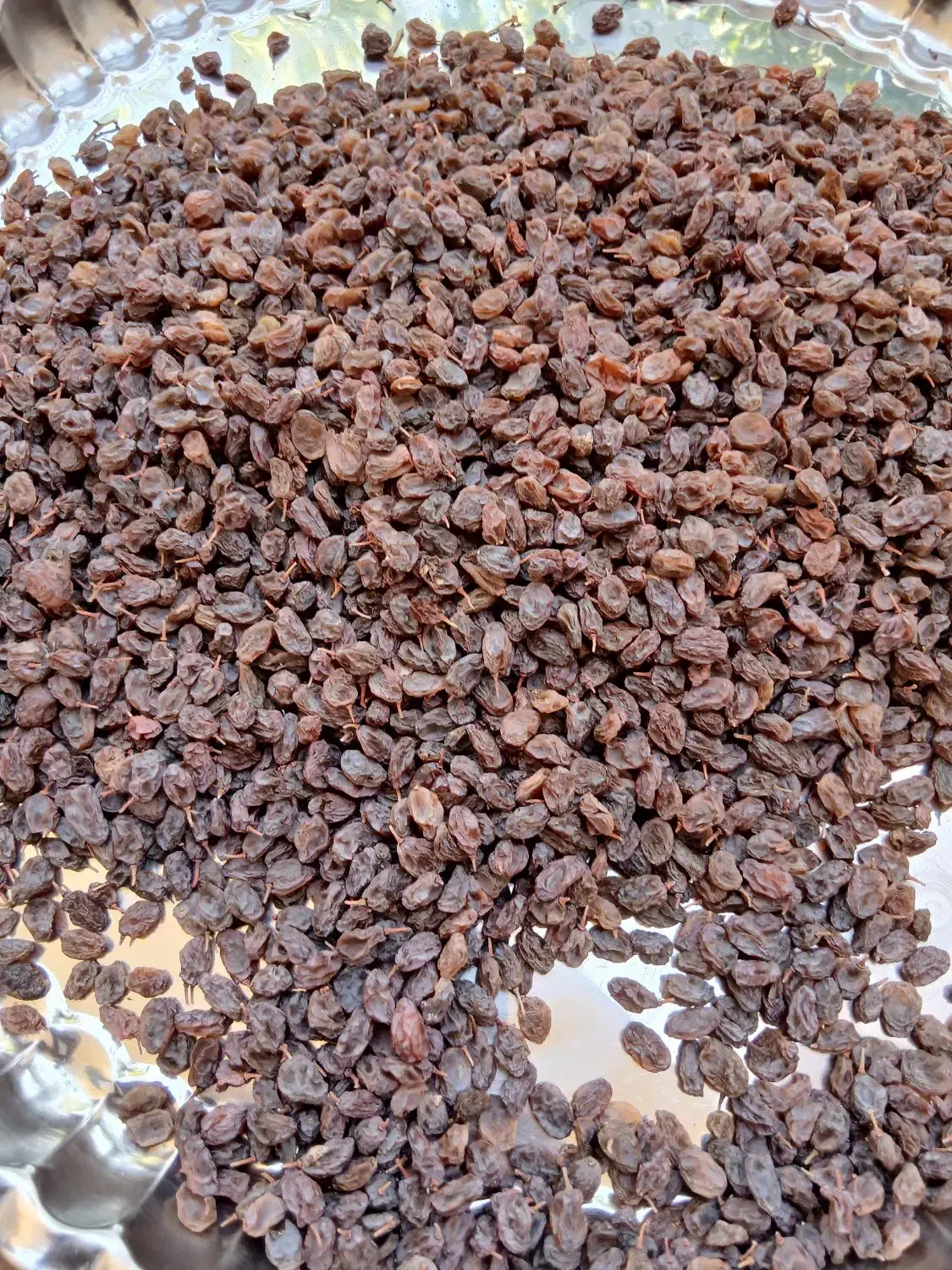 کشمش بیدانه|خوردنی و آشامیدنی|تاکستان, |دیوار