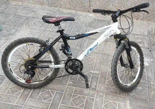 دوچرخه 20|دوچرخه، اسکیت، اسکوتر|گلستان (تهران), |دیوار